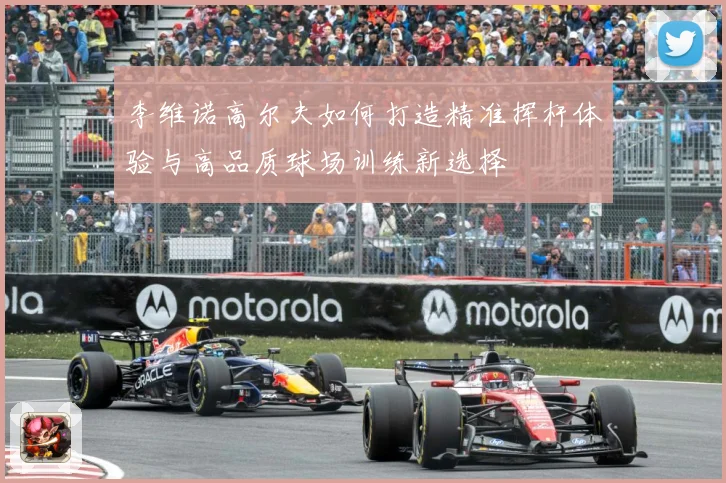 李维诺高尔夫如何打造精准挥杆体验与高品质球场训练新选择