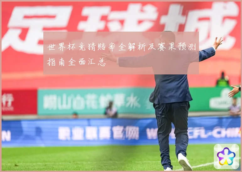 世界杯竞猜赔率全解析及赛果预测指南全面汇总