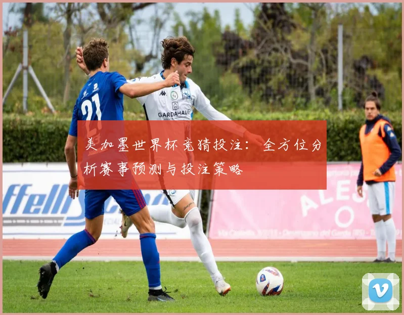 美加墨世界杯竞猜投注：全方位分析赛事预测与投注策略